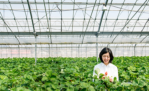 Los héroes silenciosos de la agricultura sostenible: cómo los materiales sin pesticidas permiten el control físico de plagas